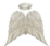 Angel Wings and Halo